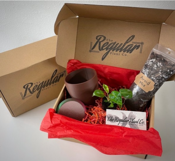 Gift Pack