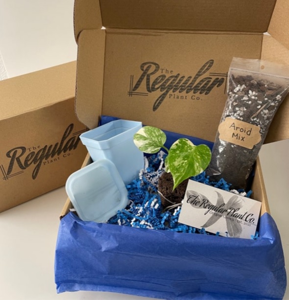 Gift Pack - Image 2