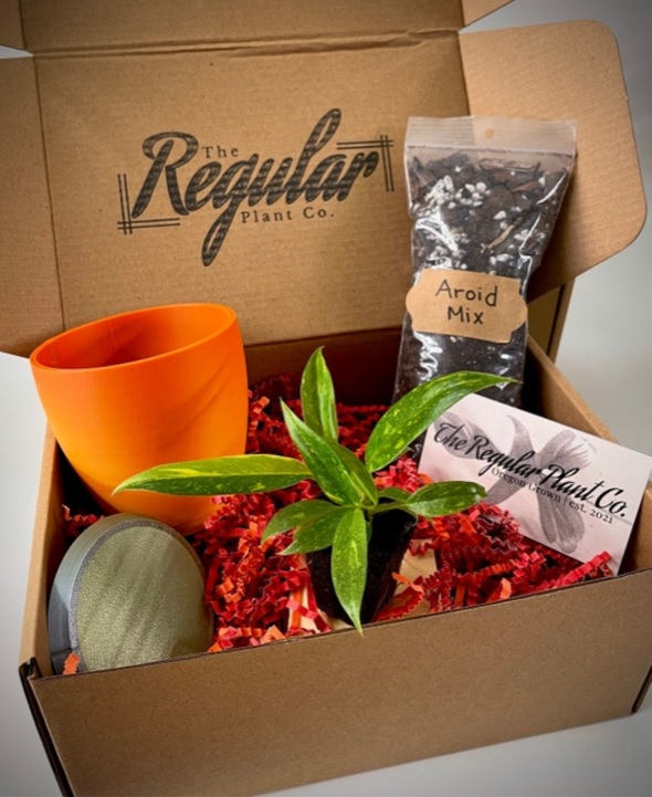 Gift Pack - Image 3