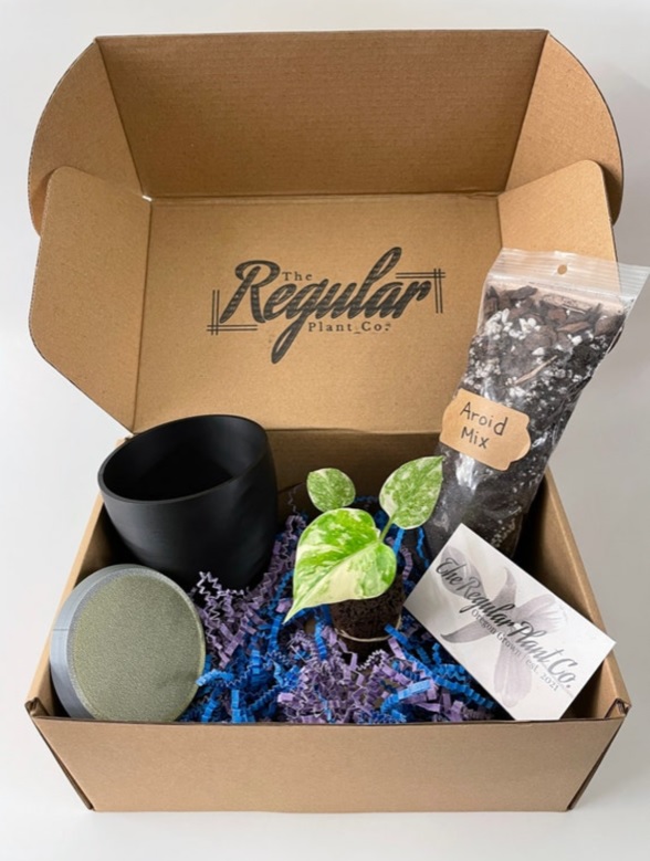 Gift Pack - Image 4