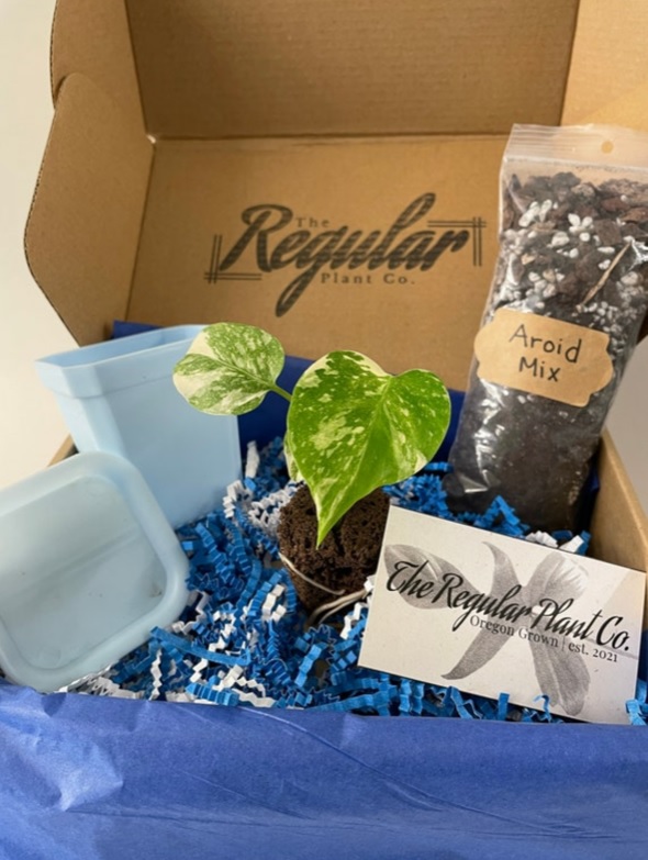 Gift Pack - Image 5