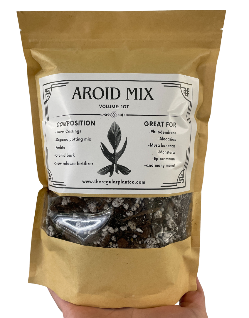 Premium Aroid mix