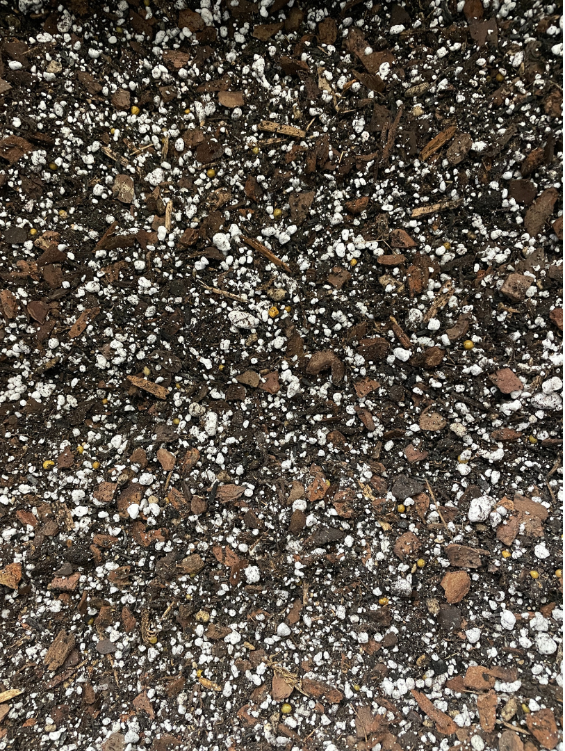Premium Aroid mix - Image 2
